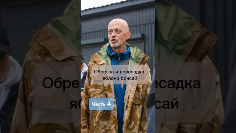 Обрезка и пересадка яблони бонсай. Часть 4.