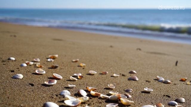 ТОП 10 самых редких и необычных имен современности