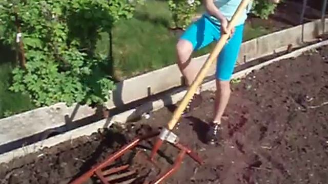 чудо лапата смотреть онлайн