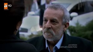 Долина Волков Западня 177 серия озвучка