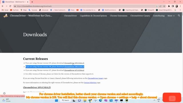 How to setup & install selenium with python( 3.11) and pycharm on windows 11 | chromium driver
