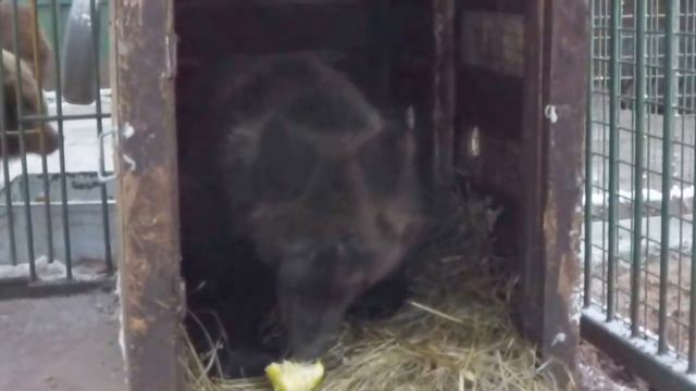 Умка смотреть онлайн