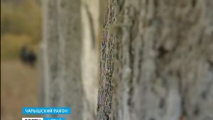 Царский Курган. Сентелек.