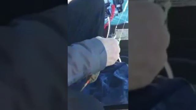 Находка. Рыбалка в Японском море .