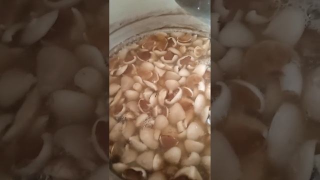 Как я мариную маслята, Показываю и рассказываю все секреты. смотреть онлайн