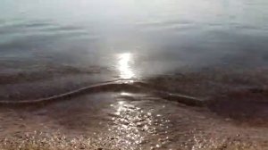 Отдых в Феодосии в сентябре - бархатный сезон