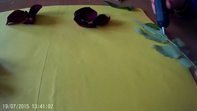 Картины из цветов своими руками.(варианты декора) смотреть онлайн