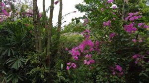 Ocean Bay Resort Phu Quoc