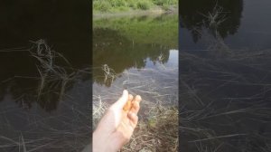 Рыбалка. Малый кускун