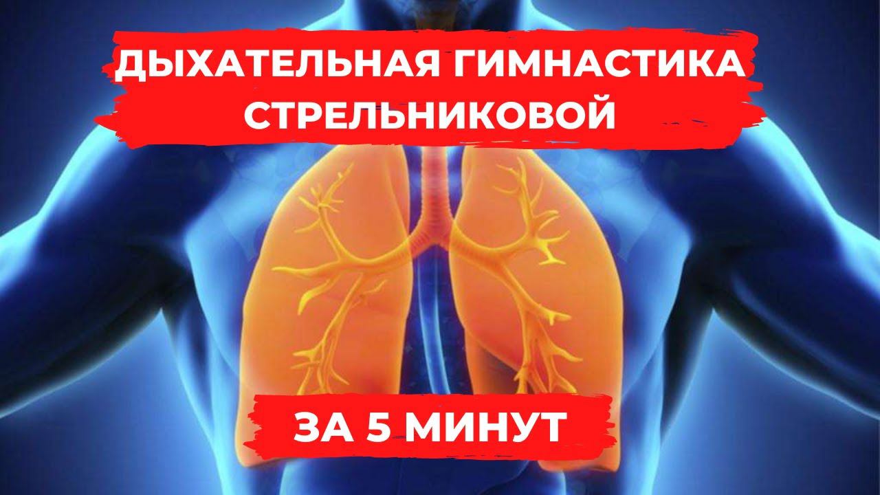 Дыхательная Гимнастика Стрельниковой. Полный комплекс. Экспресс-инструкция. 5 минут.