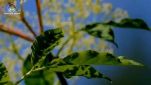 дуа в понедельник, Дуа которое поможет вам от всех семейных проблем, денег, богатства   #дуа #quran