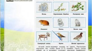 Задание 2 Тундра - Окружающий мир 4 класс (Плешаков А.А.) 1 часть