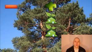 Выбираем породу древесины для строительства дома. #Строим Дом из Бруса