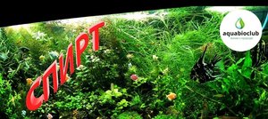 Применение спирта в растительном аквариуме. Личный опыт и теория.