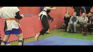 Состязание по стоповому бою. 2018 год. Шаг 1. Славяно-горицкая борьба