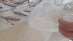 Барабулька жареная самый простой и вкусный рецепт