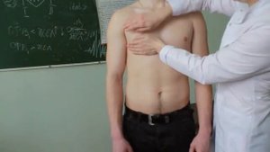 Пальпация грудной клетки