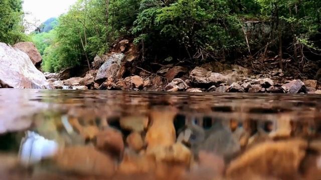 Релаксация.Relaxing. (ASMR) Пение соловья для успокоения нервной системы и хорошего сна. смотреть онлайн