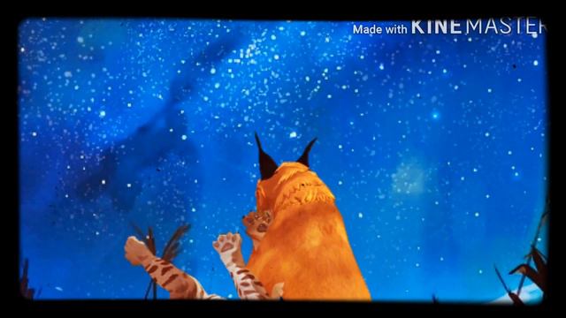 wcmv ‹ люби меня люби › смотреть онлайн