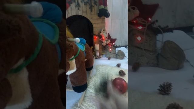 Фотостудия "Этюд" Новогодний проект 2019
