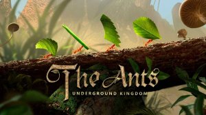 The Ants подготовка к острову