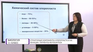 Биология. 11 класс. Структурные компоненты хлоропласта и их функции /18.09.2020/