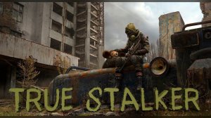 S.T.A.L.K.E.R.: Call of Pripyat + мод True Stalker | Мутанты мощнее людей