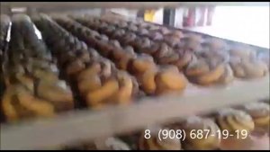 Отсадочная 2-х бункерная  машина BELOVEN