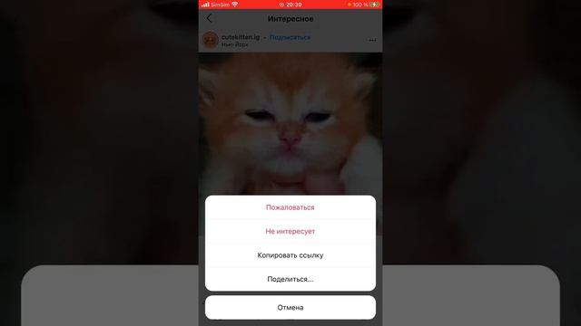Как скачать любое видео с Instagram на İPhone? Решение тут (2021)
