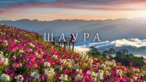 Шаура - Нил Аминов (башҡорт халыҡ көйҙәре)