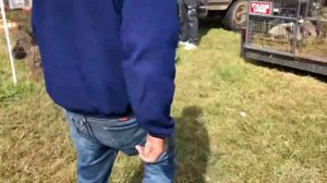 Выставка Николаевских голубей в Америке