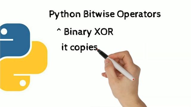 python Bitwise Operators
