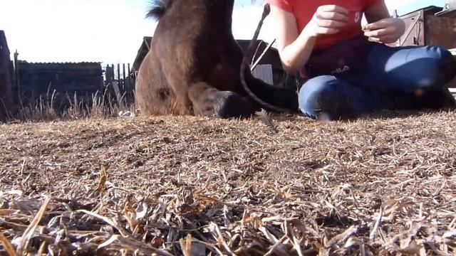 «Звезда полей» Н.М.Рубцов. смотреть онлайн