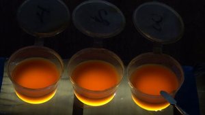 Очистка тосола топливным фильтром