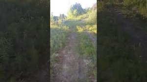 Рак в Свердловской обл место