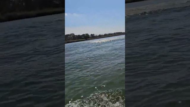 В реку Дон сливают очистные смотреть онлайн