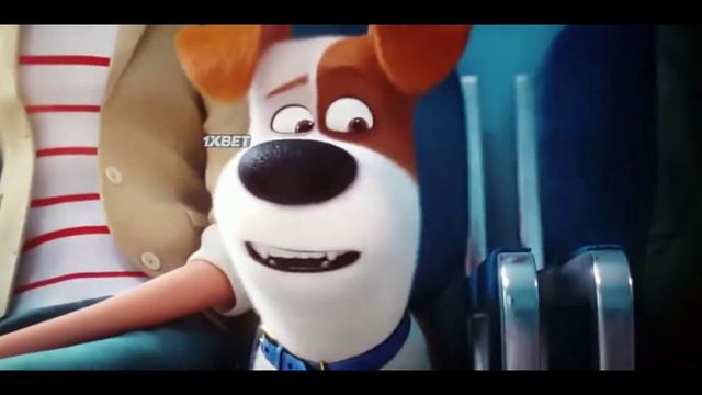 Псих больные животные смотреть онлайн