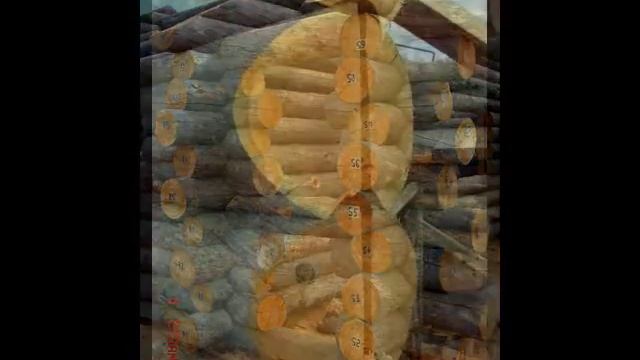 Срубы из "сухарника" (технология)