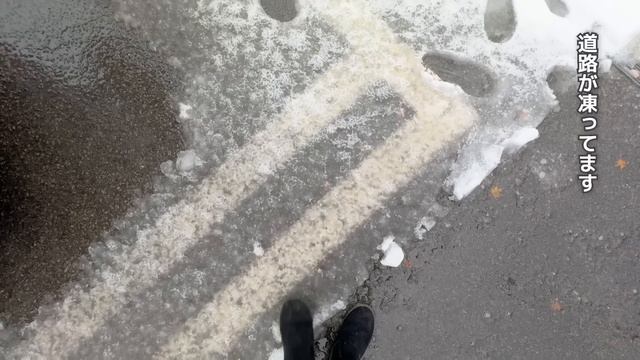 雪のパーキングエリア避難車中泊 | 知らずに停まった場所は熊の出没するPAだった【嫁のパシリで富山→奈良700Km】