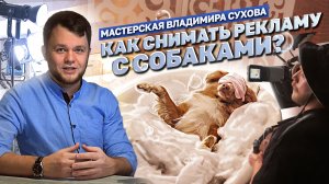 Как снимать рекламу с собаками? / Животные на съёмочной площадке / Сложности, советы и приёмы работы