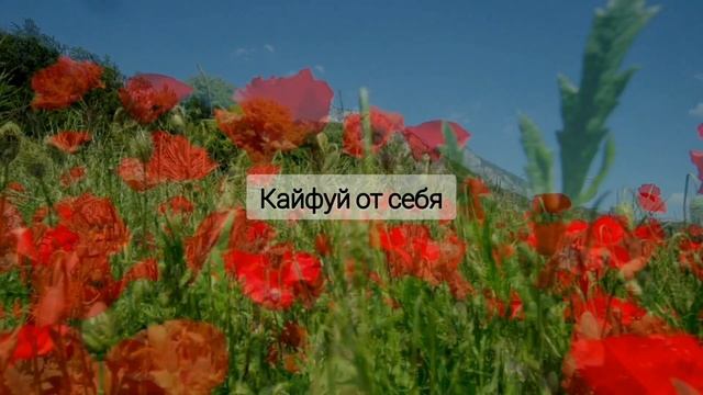Почему от мужчин нужно держаться ПОУДАЛЬ #психологиямужчин #чегохотятмужчины