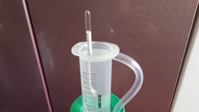 Попугай своими руками смотреть онлайн