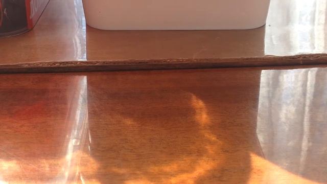 Светящаяся гусеница 🐛 ( Моя игрушка):)😆 смотреть онлайн