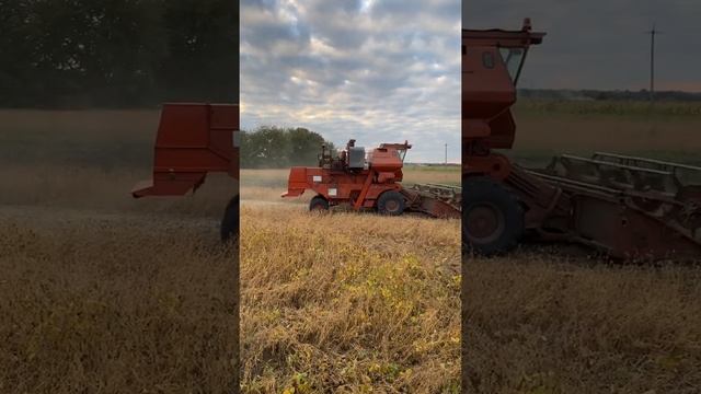 СК-5 нива соя 2021 смотреть онлайн