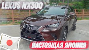 LEXUS NX300 | НАСТОЯЩАЯ TRUE-ЯПОНИЯ ☝? ?? | ЛЮДИ ВЫБИРАЮТ ПРАВЫЙ РУЛЬ ? | ⬇️ WORLDCAR.RU ⬇️