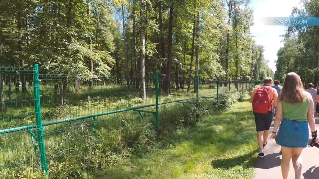 ПРИОКСКО-ТЕРРАСНЫЙ ЗАПОВЕДНИК, РОССИЯ, 4K смотреть онлайн