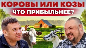 Козы или коровы | Кто приносит больше денег? Зачем в хозяйстве роботы | Андрей Даниленко