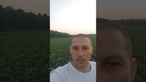 бинарный посев соя+ подсолнечник 19.07.21