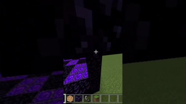 Minecraft New Portal 1.20 Hack #shorts