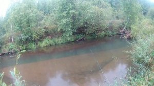 Рыбалка на малой речке. Костромская область. Окунь, щука.